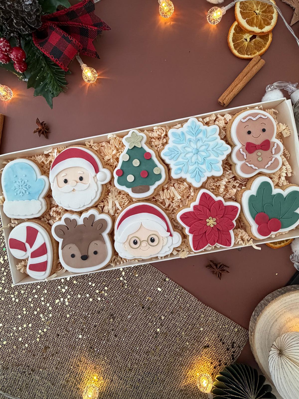 #19 - MAXI Boite 10 Mini biscuits